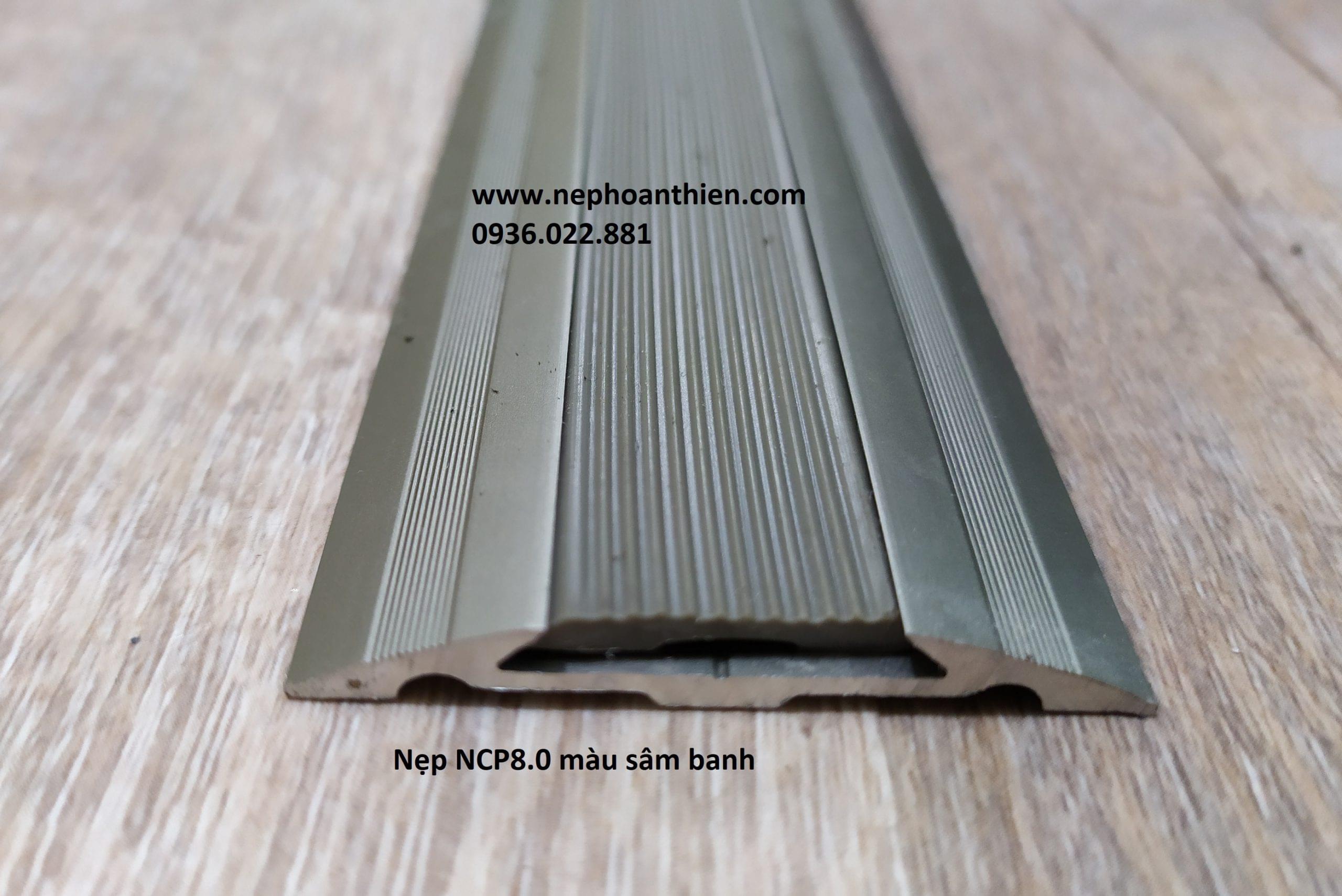 Nẹp chống trơn NCP8 màu sâm banh
