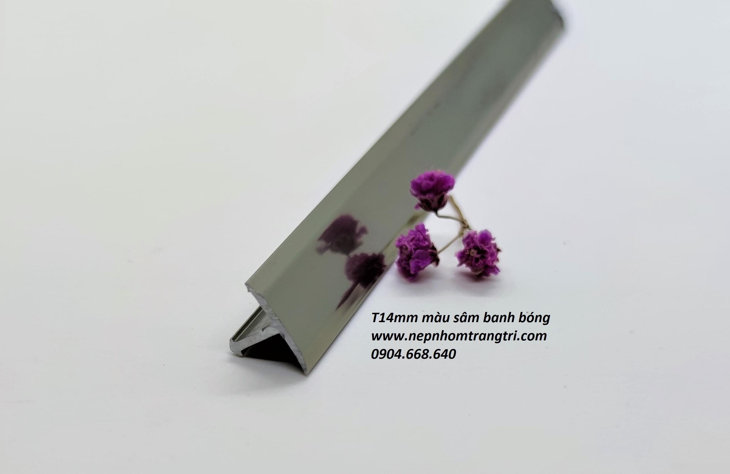 NẸP NHÔM T14mm nẹp nhôm T14 màu sâm banh