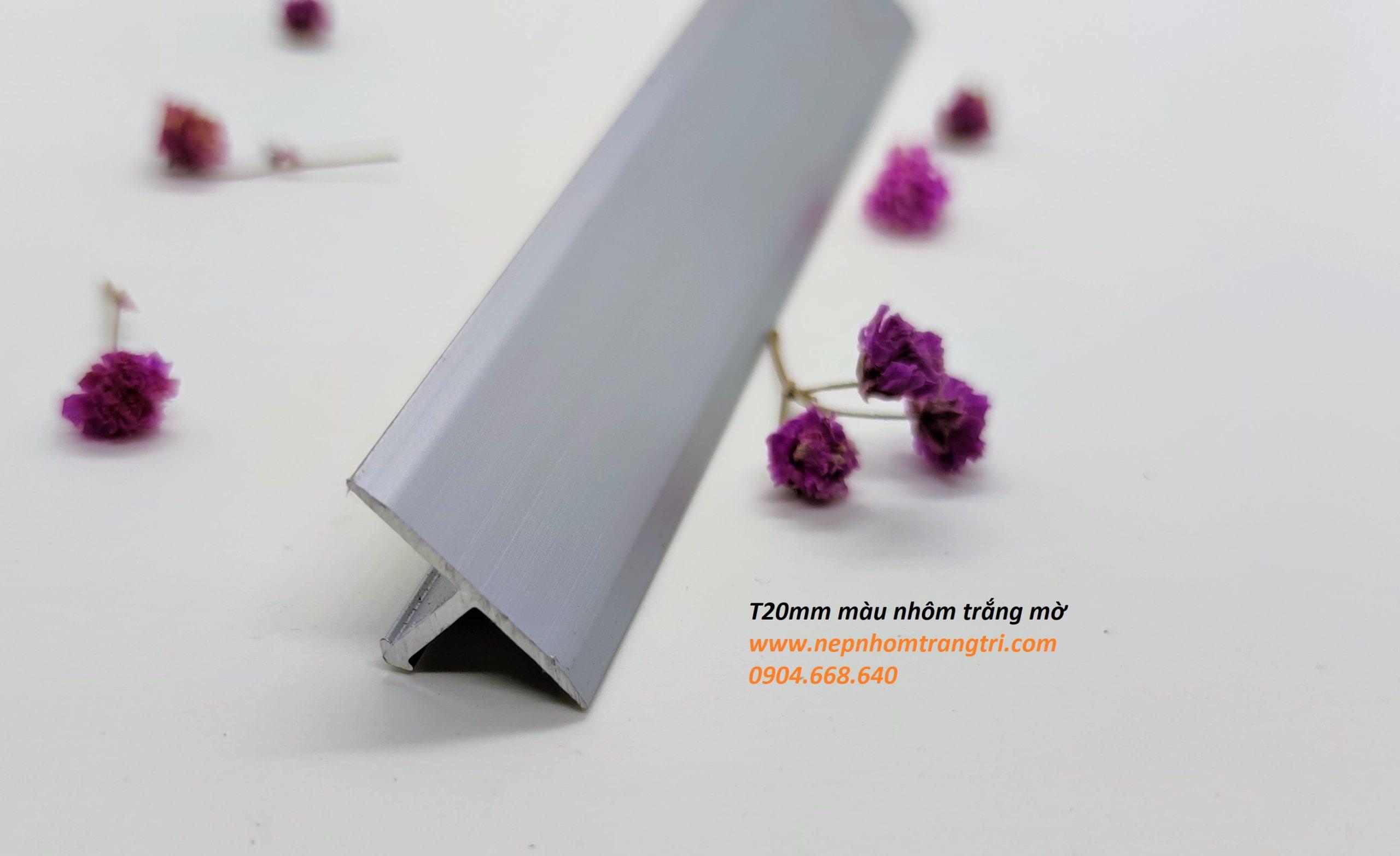 nẹp T20 màu nhôm mờ