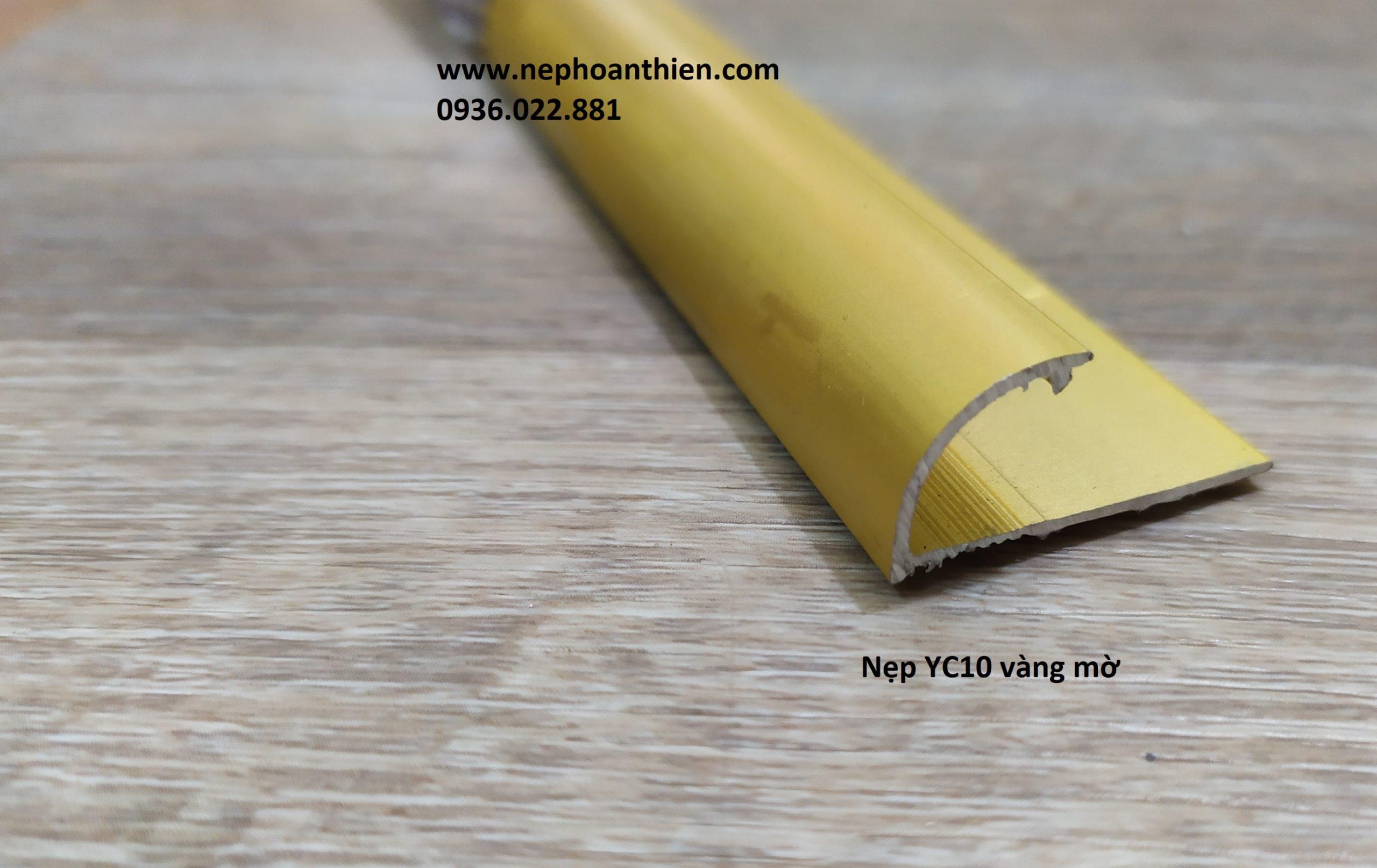 YC10 mau vang mo scaled 1