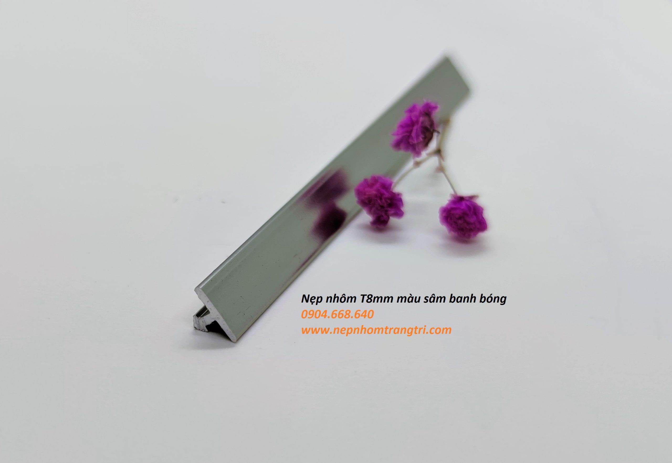 Nẹp T8mm màu sâm banh