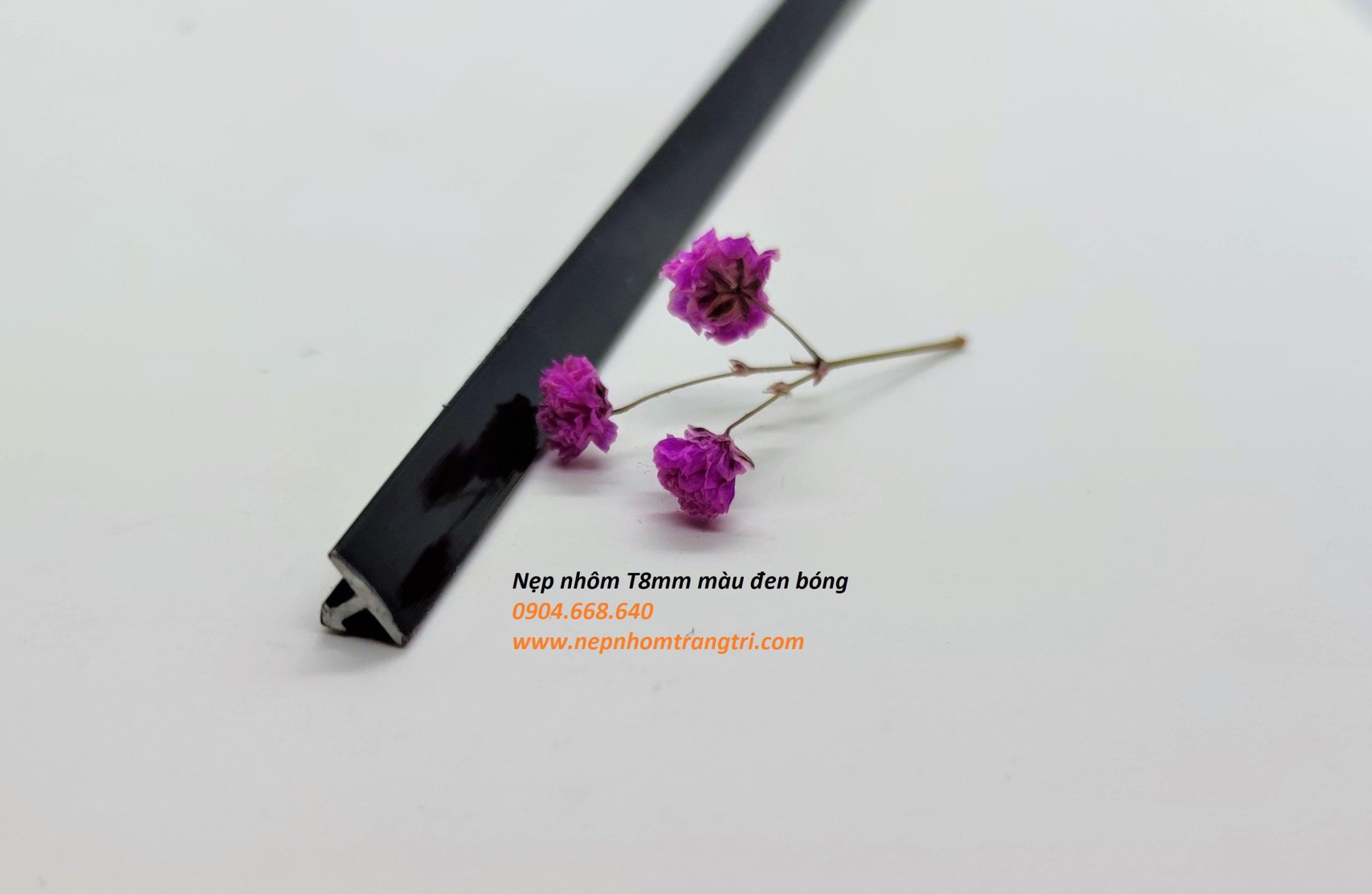 Nẹp nhôm T8mm đen bóng