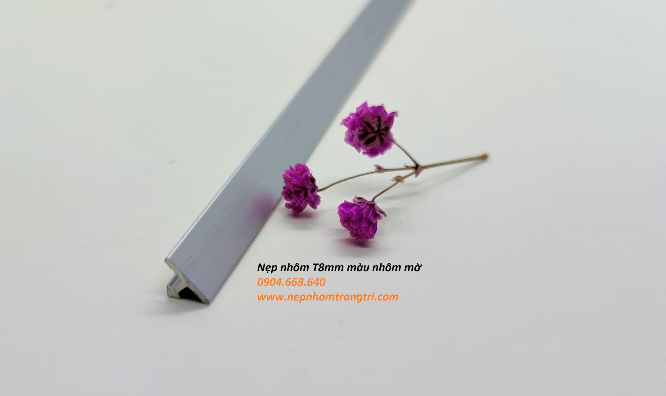 Nẹp T8mm màu nhôm