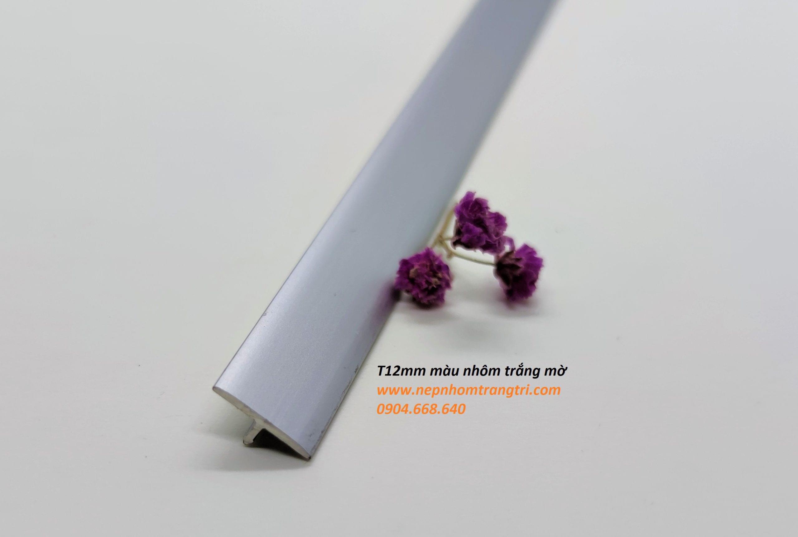 Nẹp nhôm T12 nẹp nhôm T12 màu nhôm mờ