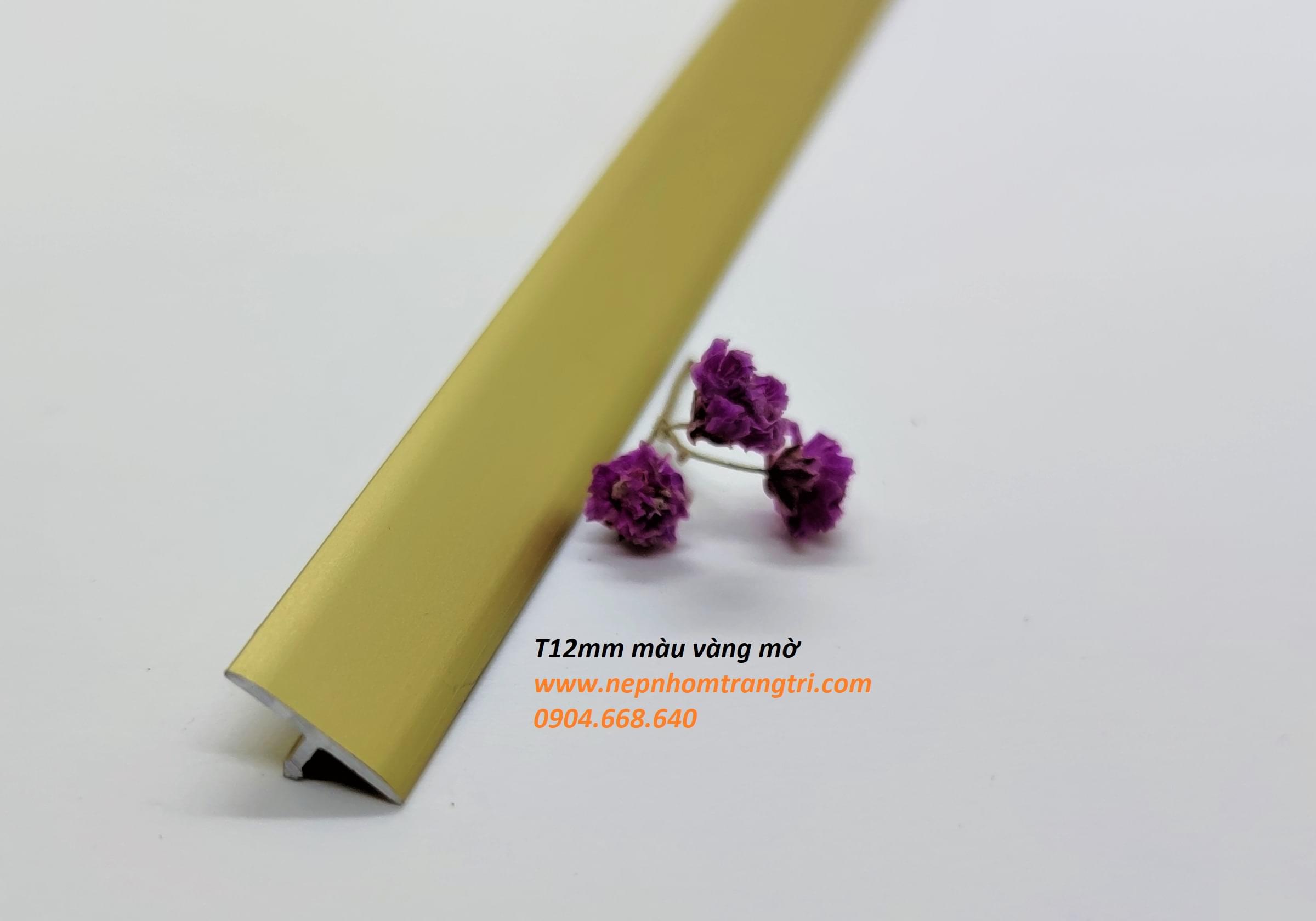 Nẹp nhôm T12 nẹp nhôm T12 màu vàng mờ