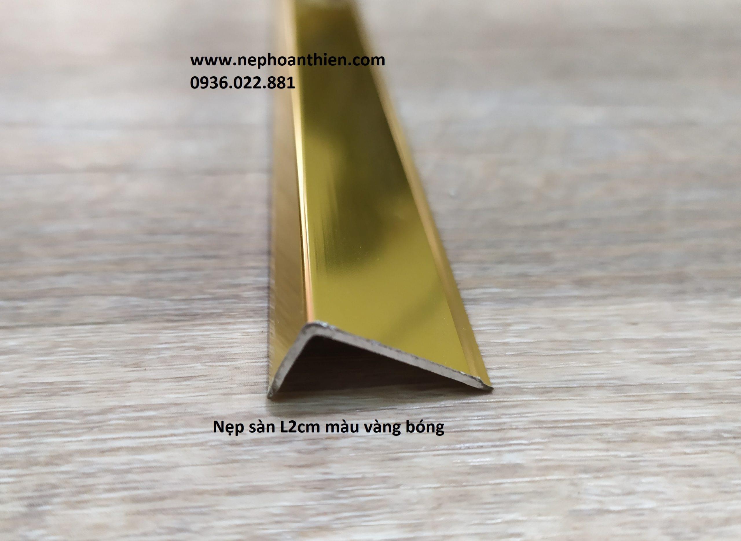 NẸP NHÔM L10x20mm HTA1020 vang bong scaled 1